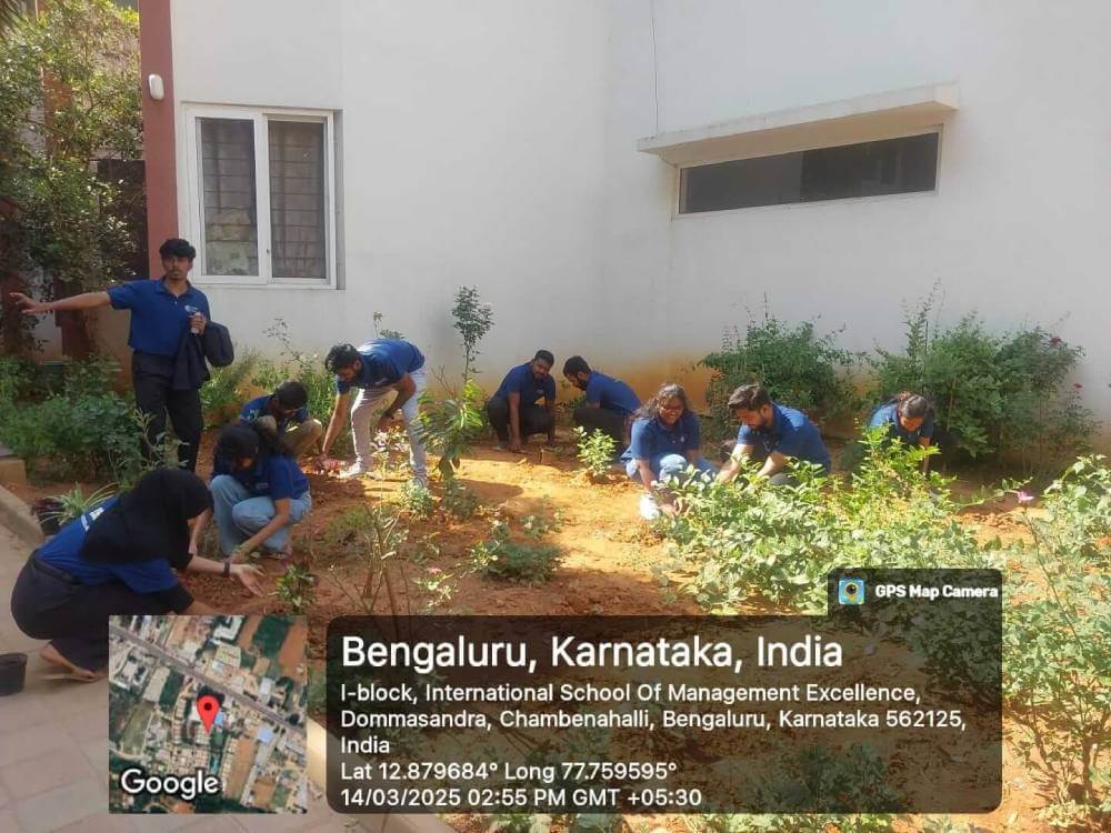 Plantation Drive