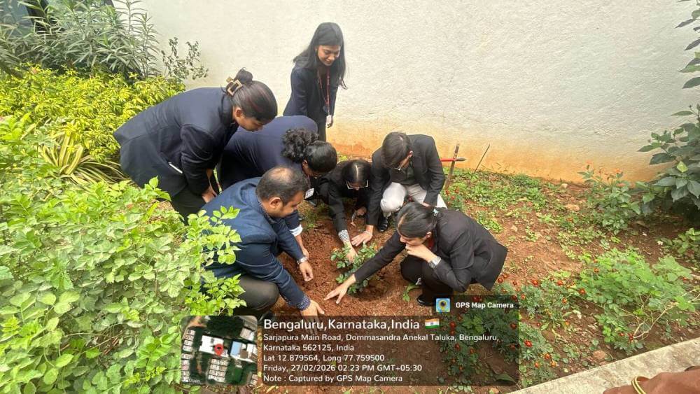 Plantation Drive
