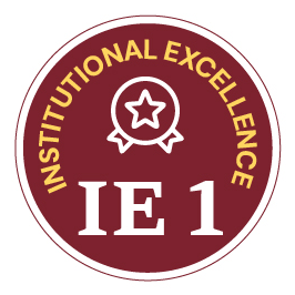Institutional Excellence